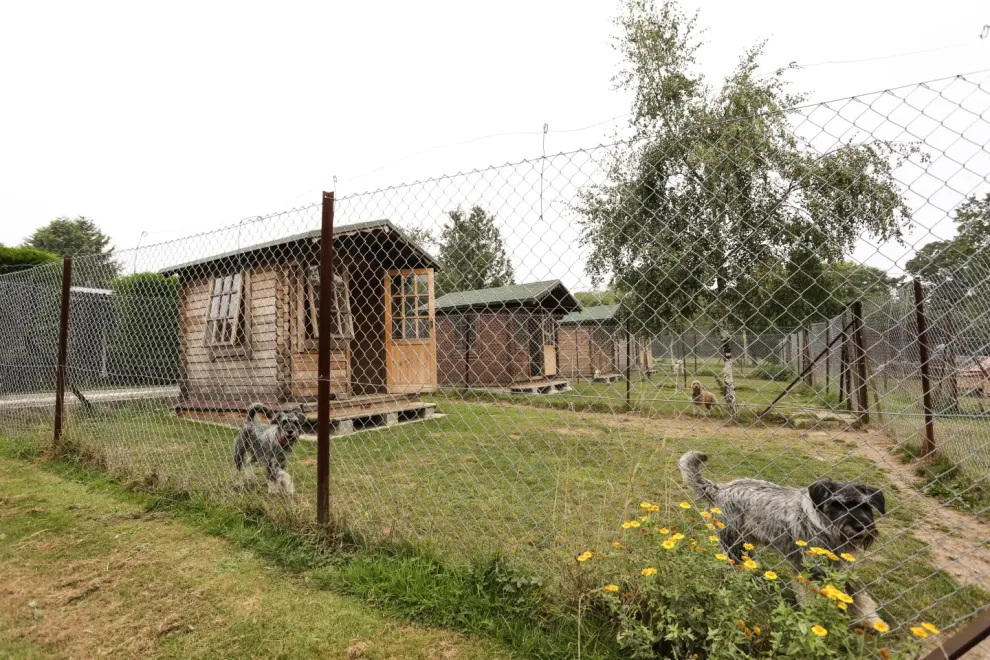 Green Lane Farm