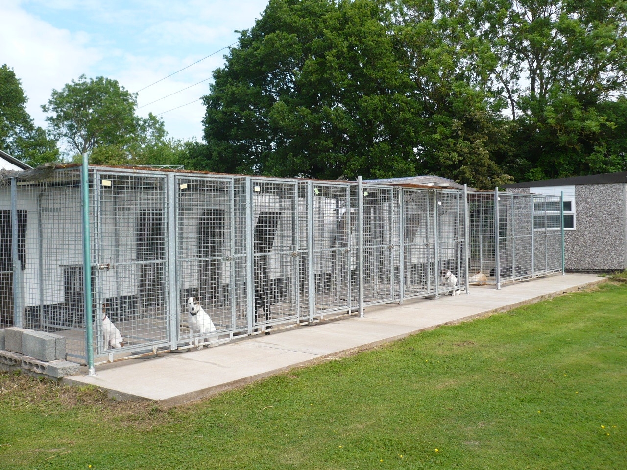 Karenswood Kennels