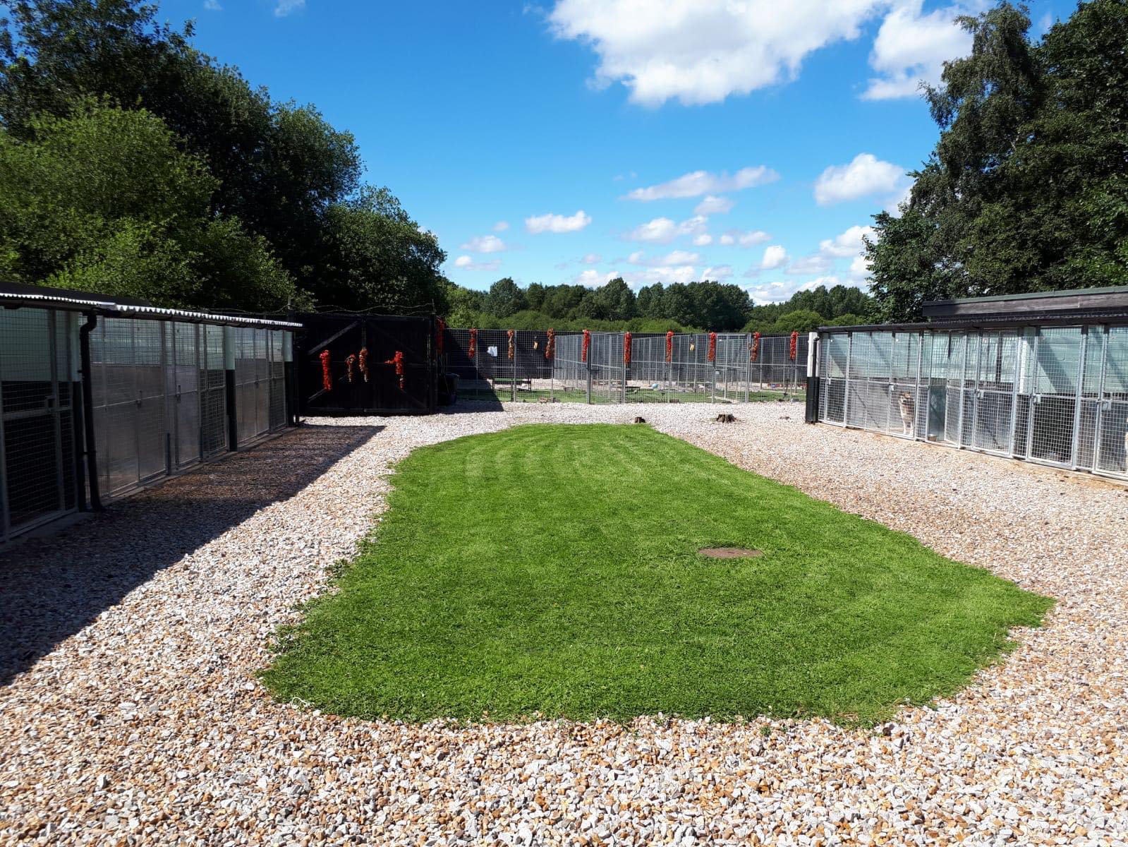 Moss Cottages Boarding Kennels