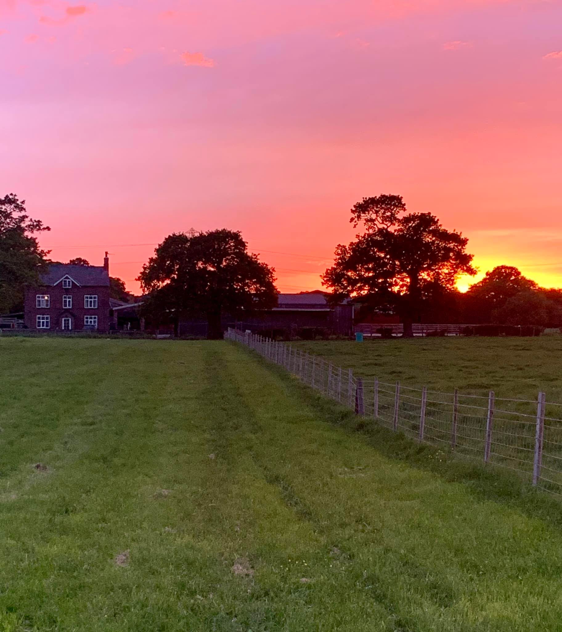 Worthy Walkers & Dog Hotel